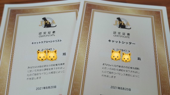 キャットシッター資格