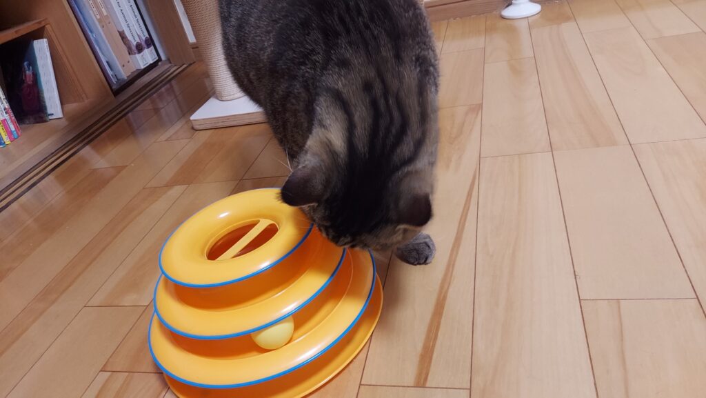 猫のおもちゃ うにの場合